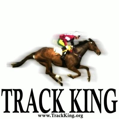 Track King | electronics store | 35 Davis St, Salisbury SA 5108, Australia