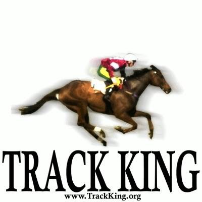 Track King | 35 Davis St, Salisbury SA 5108, Australia