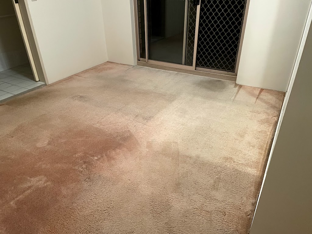 ZAIBA Carpet Cleaner | 39-43 Crump St, Holland Park West QLD 4121, Australia | Phone: 0414 193 588