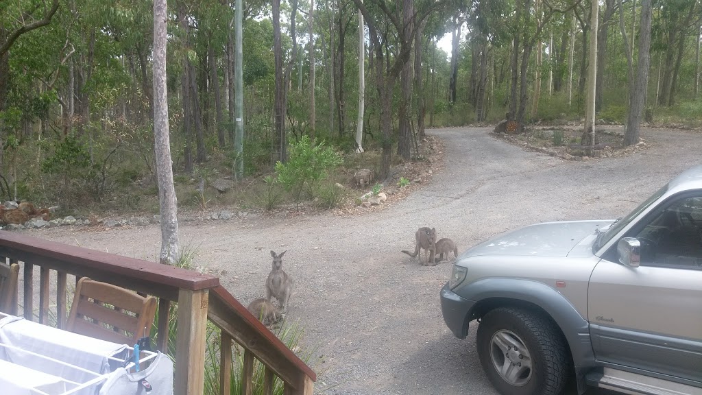 Collina Cabin | lodging | Lot 11 Goanna Grove, Vacy NSW 2421, Australia