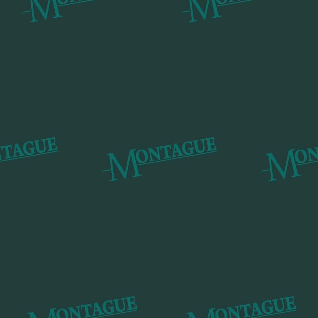 Montague Law | lawyer | 420 Montague Rd, Modbury North SA 5092, Australia | 0872310420 OR +61 8 7231 0420