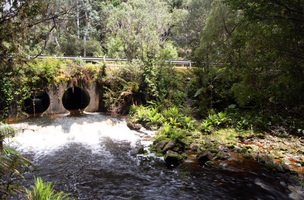 Newall Creek Interpretive Site | park | Mount Jukes Rd, Southwest TAS 7139, Australia