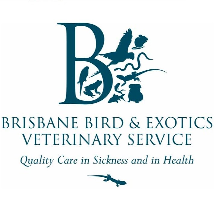 Brisbane Bird & Exotics Veterinary Service | veterinary care | 191 Cornwall St, Greenslopes QLD 4120, Australia | 0732173533 OR +61 7 3217 3533