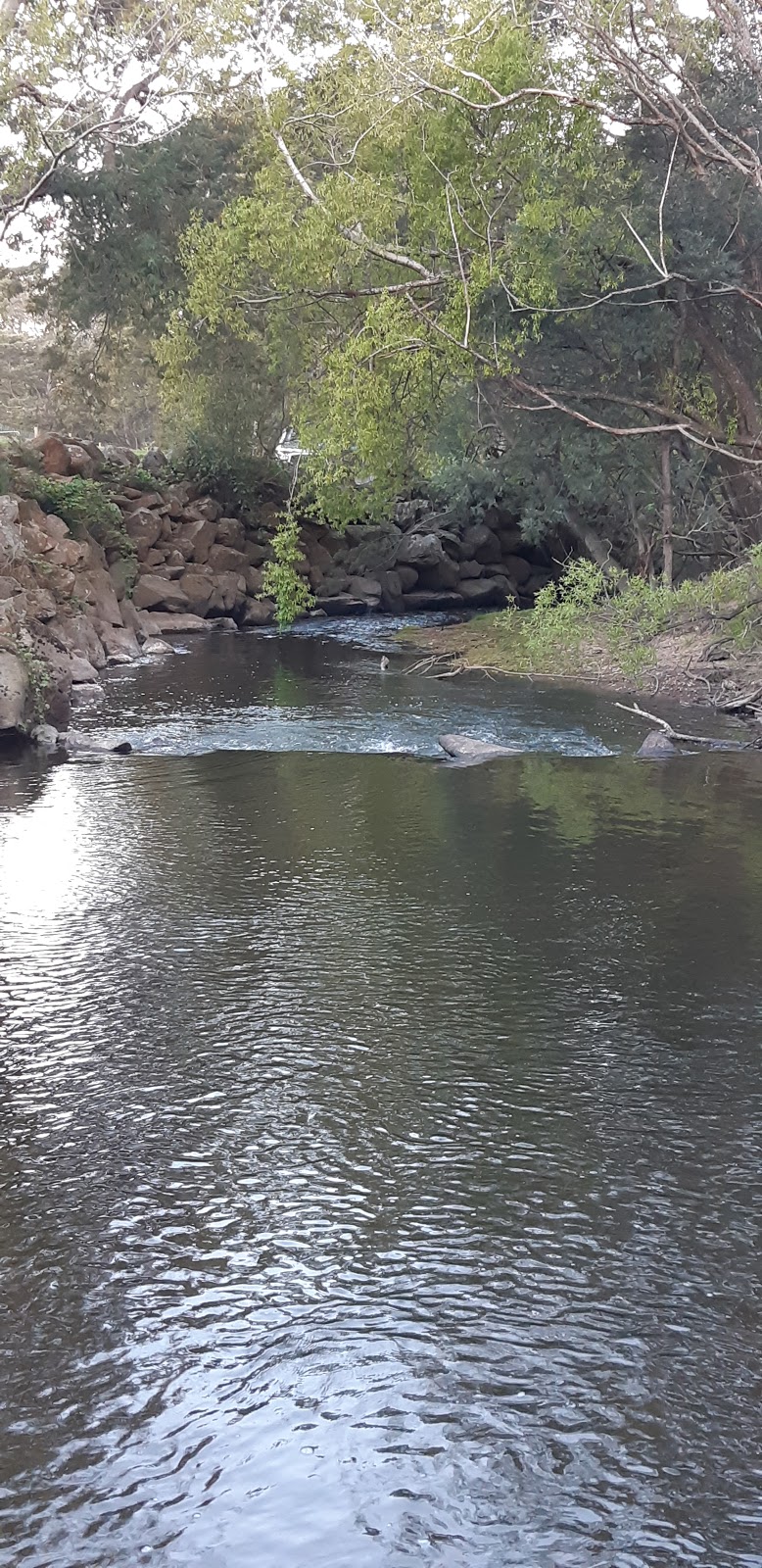 Bracknell River Reserve | Bracknell Reserve Rd, Bracknell TAS 7302, Australia
