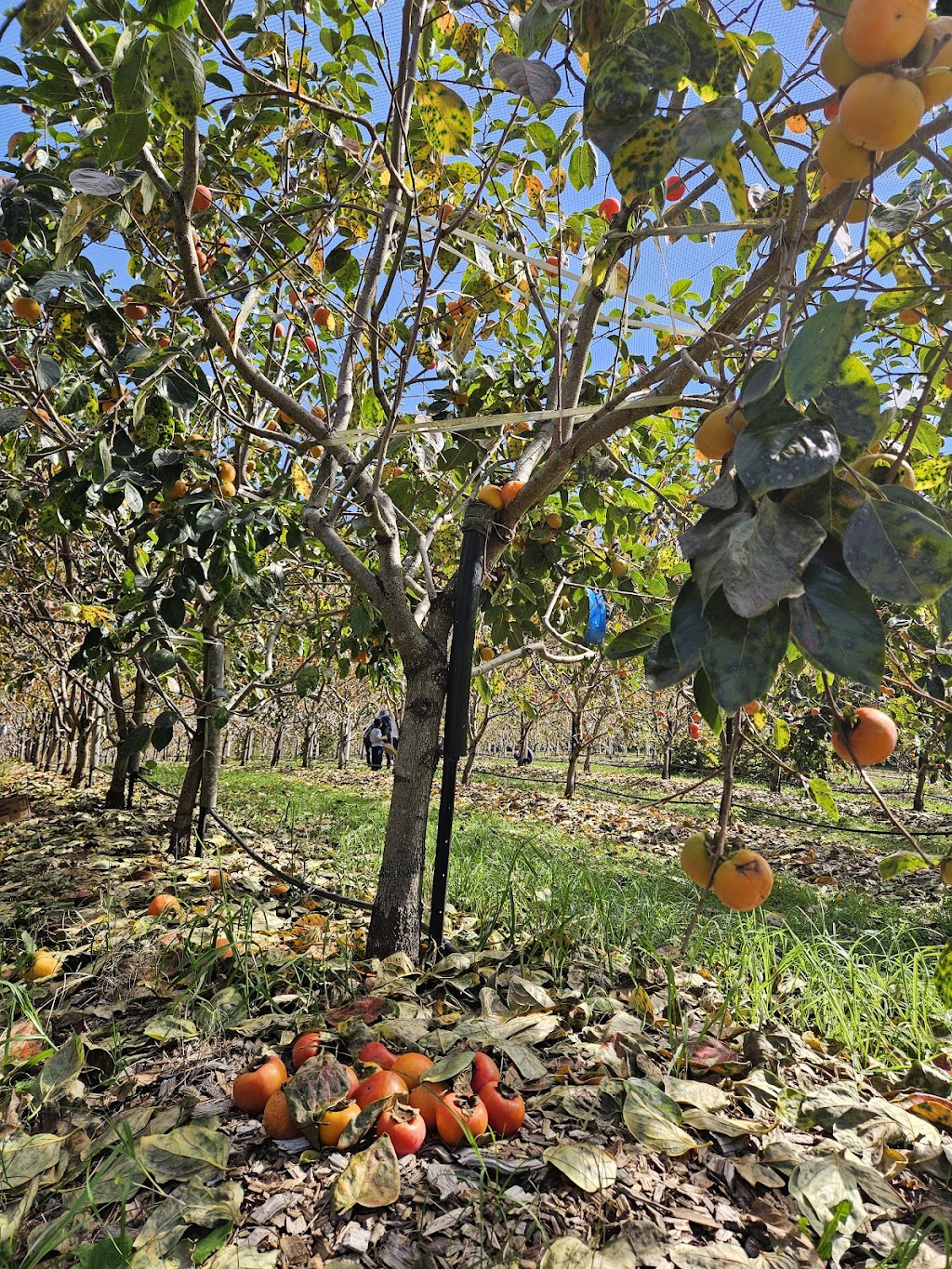 Mount Blue | 108 Valley Ridges Rd, Bilpin NSW 2758, Australia | Phone: 0438 172 849