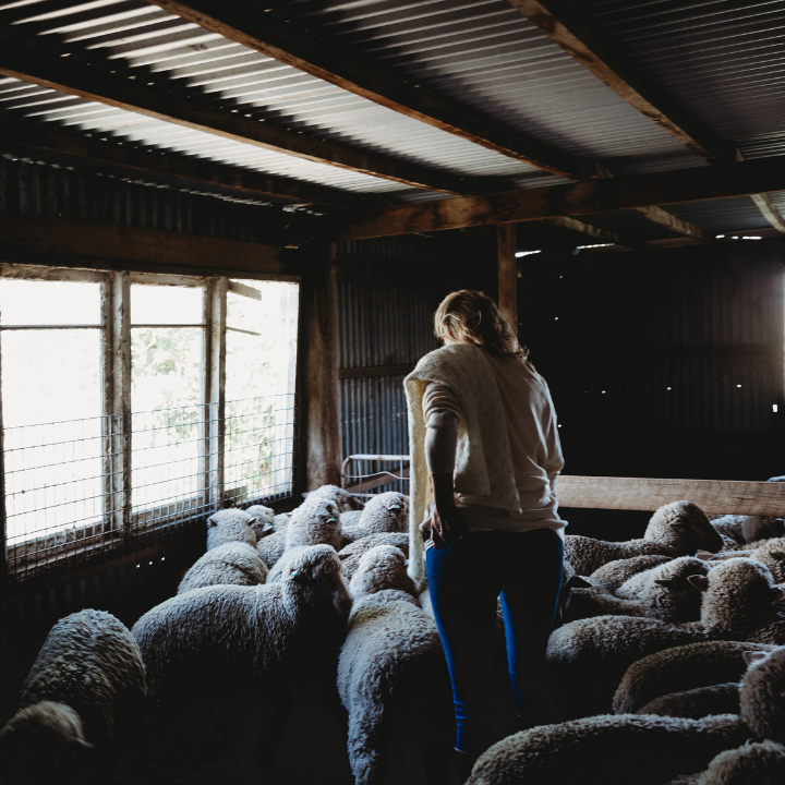 Vanessa Bell | 6167 Nowendoc Rd, Cooplacurripa NSW 2424, Australia | Phone: 0414 536 144