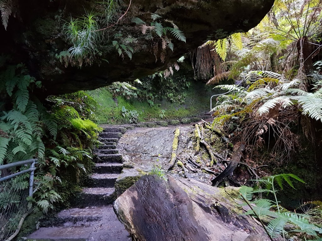 Grand Canyon Walking Track | tourist attraction | Blue Mountains National Park, Evans Lookout Rd, Blackheath NSW 2785, Australia | 0247878877 OR +61 2 4787 8877