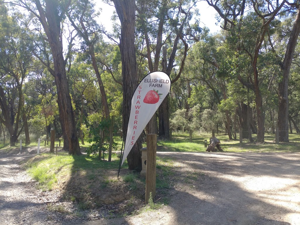 Ellisfield Farm | 109 Mcilroys Rd, Red Hill VIC 3937, Australia | Phone: (03) 5989 2008