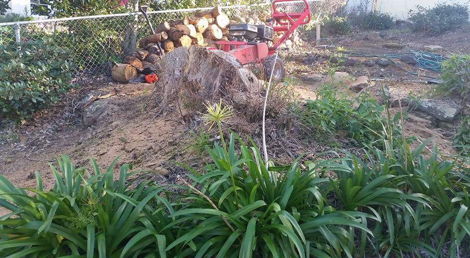 Humfreys bust a stump | general contractor | 1 Lyndall Cl, Kincumber NSW 2251, Australia | 0449137146 OR +61 449 137 146