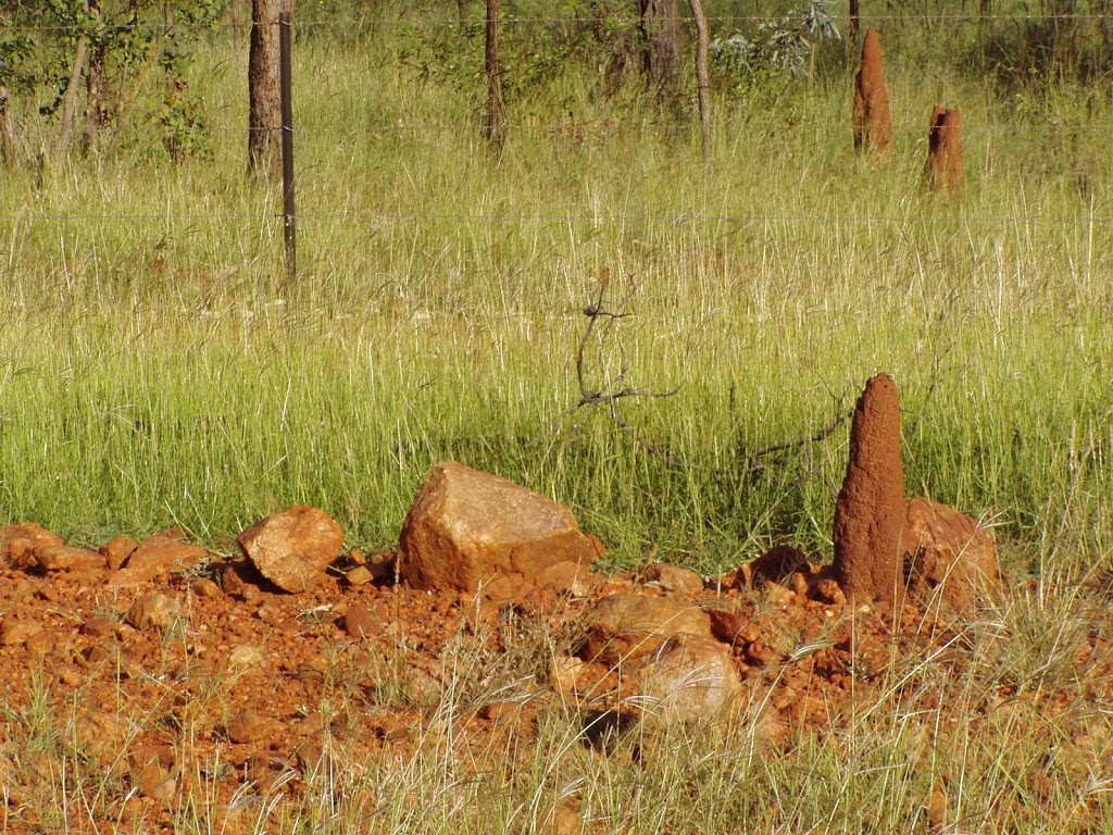 Forty Mile Scrub National Park | Forty Mile QLD 4872, Australia | Phone: 13 74 68