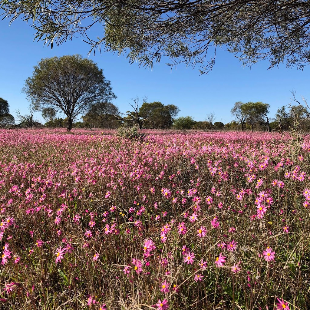 Coalseam Conservation Park | Western Australia 6522, Australia