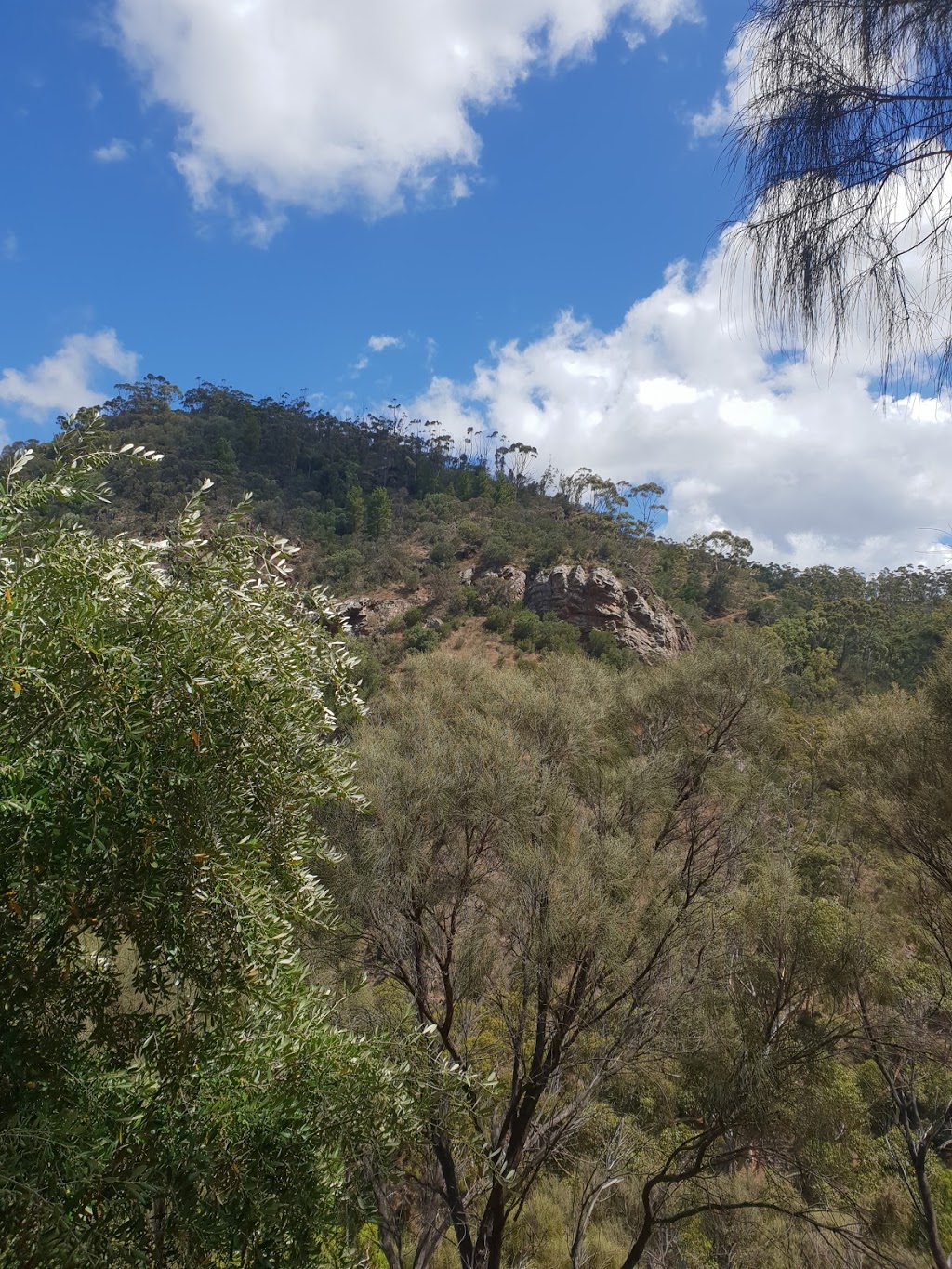 Falls Car Park | parking | Morialta Falls Rd, Woodforde SA 5072, Australia