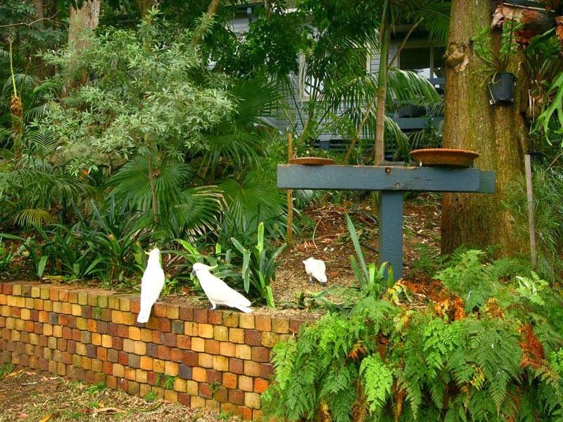 Austinmer Garden Cottage | 18 Balfour Rd, Austinmer NSW 2515, Australia | Phone: 0414 449 631