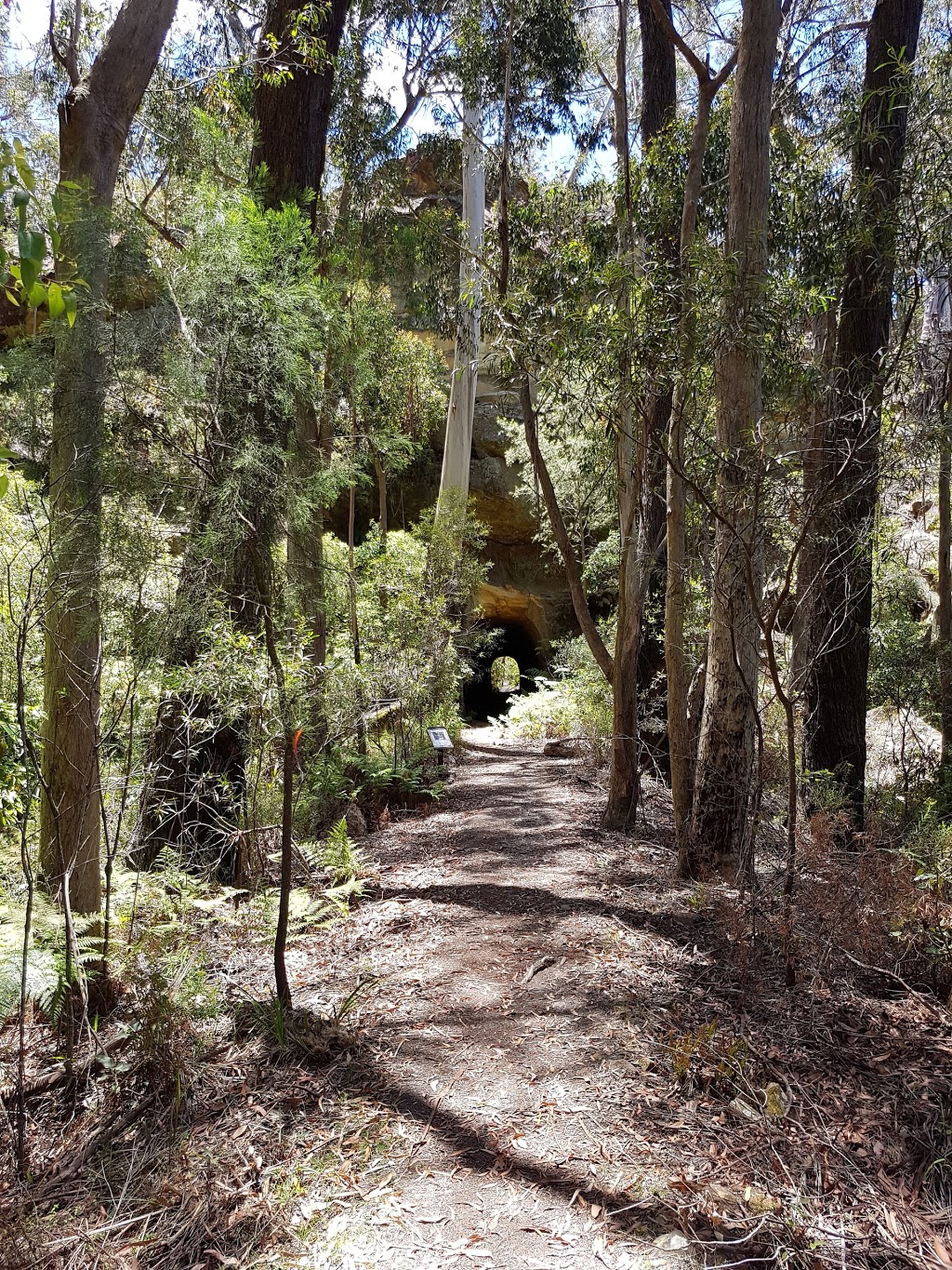 Box Vale Walking Track | park | Box Vale Walking Track, Woodlands NSW 2575, Australia