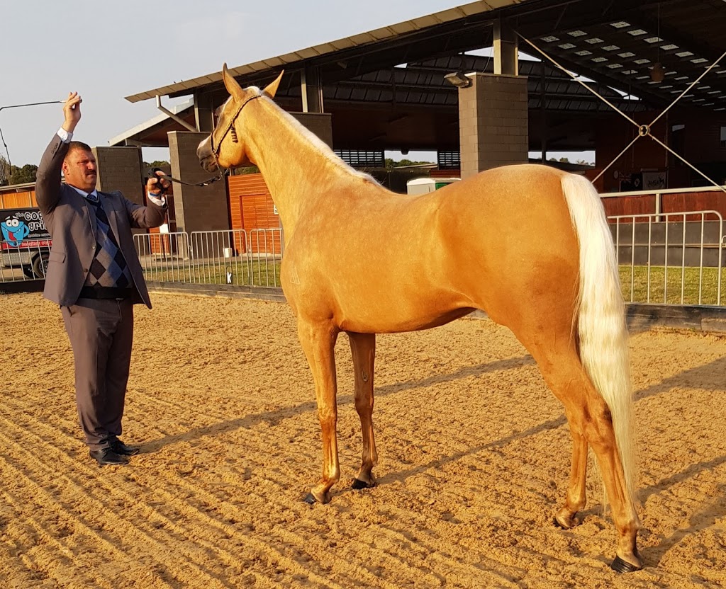 Boneo Park Equestrian Centre Pty Ltd | 312 Boneo Rd, Boneo VIC 3939, Australia | Phone: (03) 5986 3006