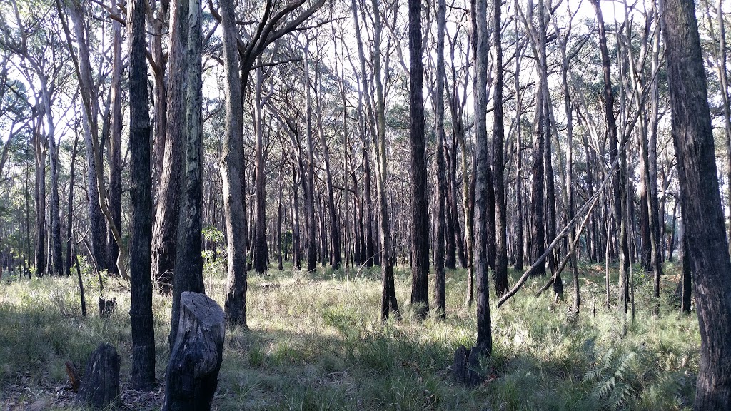 Black Forest | park | Woodend VIC 3442, Australia