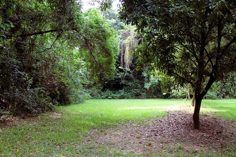 Hidden Valley @ Gro Mad Plantations | 180 Yandina Bli Bli Rd, Maroochy River QLD 4561, Australia | Phone: 0432 040 751