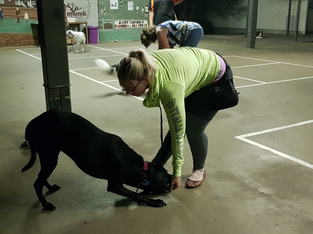 Unleashed Dog Behavioural Training | 21 Minura Ct, Doonan QLD 4562, Australia | Phone: 0437 311 715