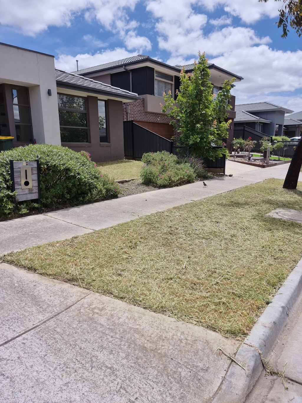 Sersev mowing services | general contractor | Polo Pl, Craigieburn VIC 3064, Australia | 0411644918 OR +61 411 644 918