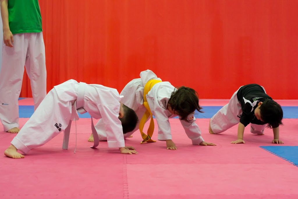 Evolution Taekwondo | 1/6 Deblin Dr, Narre Warren VIC 3805, Australia | Phone: (03) 9703 0788