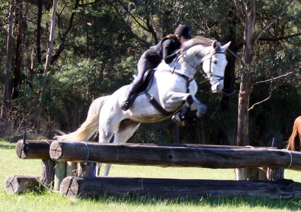 Equus Pty Ltd | 255 Pooley Rd, Nar Nar Goon North VIC 3812, Australia | Phone: 0432 111 896