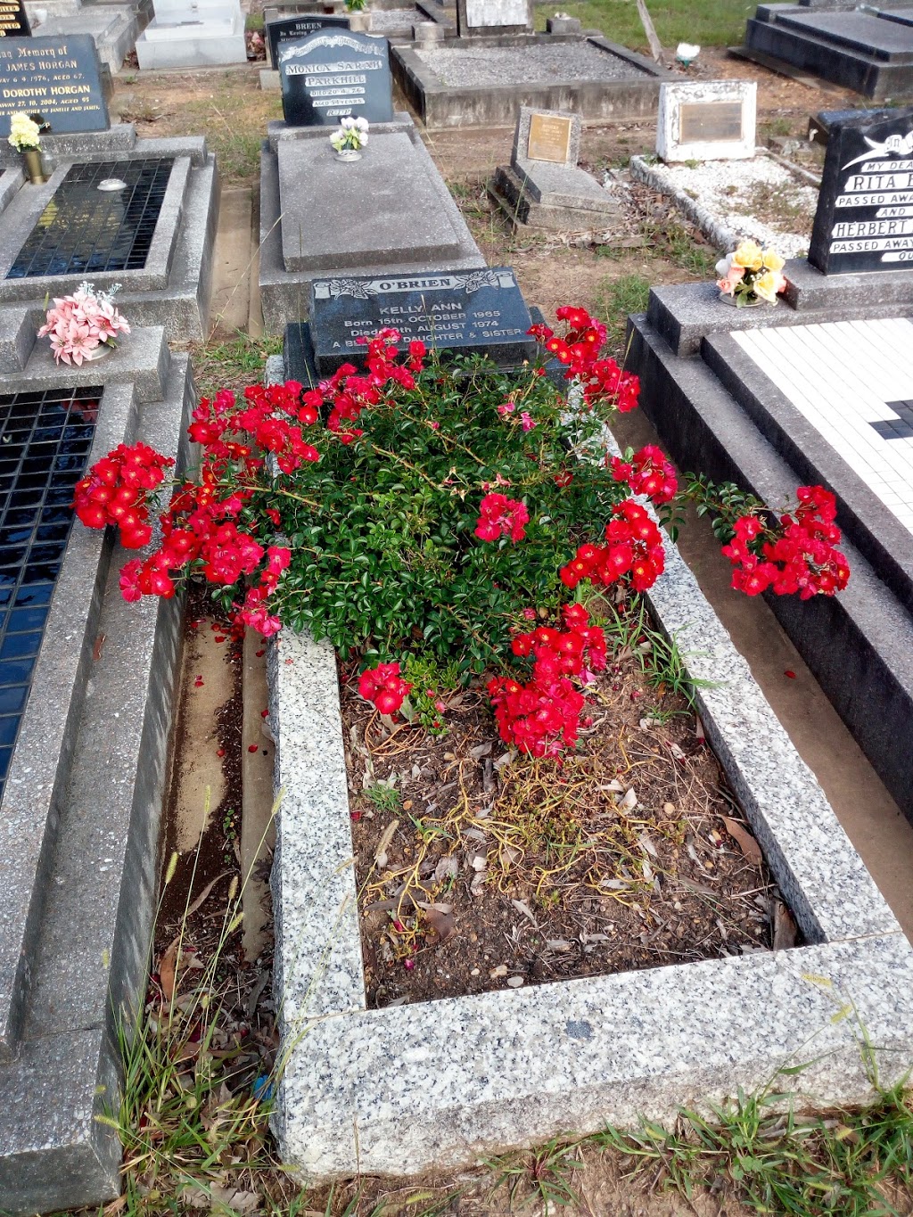 Nowra Cemetery | cemetery | Nowra NSW 2541, Australia | 0244295788 OR +61 2 4429 5788