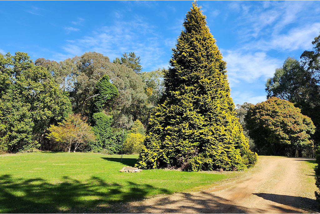 The Banya Place | 486 Back Porepunkah Rd, Bright VIC 3741, Australia | Phone: (03) 4714 7111