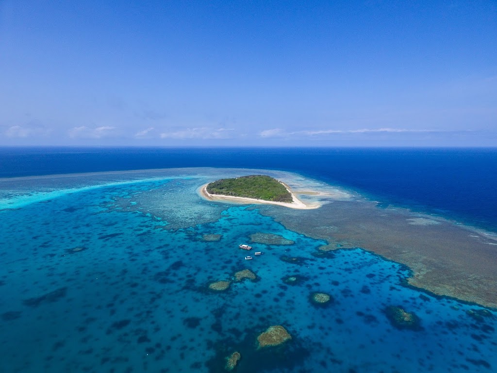 1770 Reef Great Barrier Reef Eco Tours | 535 Captain Cook Dr, Seventeen Seventy QLD 4677, Australia | Phone: (07) 4972 7222