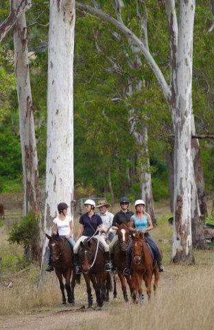 Equathon Horse Riding | Esplanade, Noosa North Shore QLD 4565, Australia | Phone: (07) 5474 2665