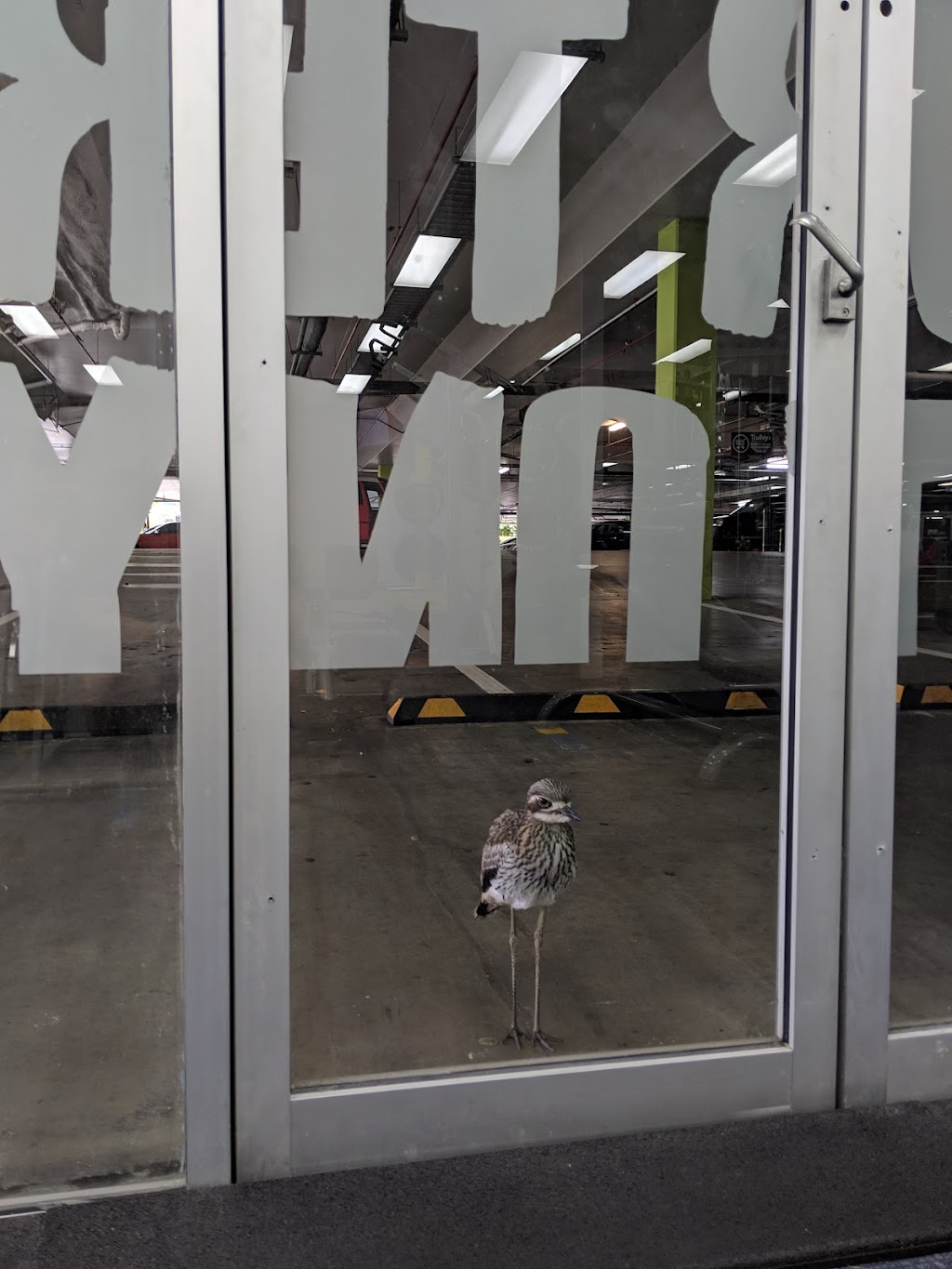 Jetts Greenslopes | Greenslopes Mall, b3/700 Logan Rd, Greenslopes QLD 4120, Australia | Phone: (07) 3847 2450