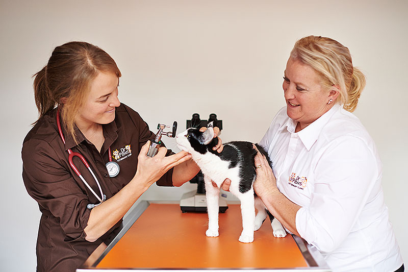 Dr Paws Anakie Road Veterinary Clinic | veterinary care | 34 Anakie Rd, Bell Park VIC 3215, Australia | 0352721880 OR +61 3 5272 1880