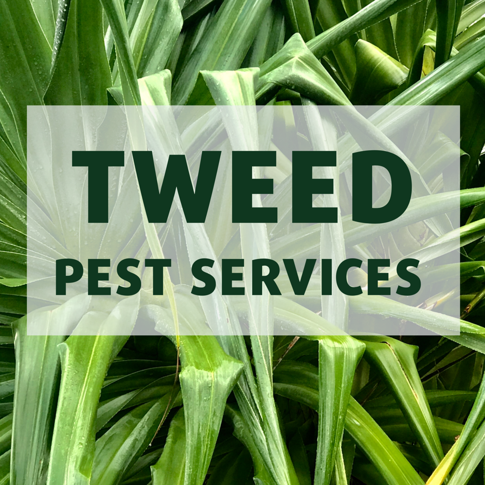 Tweed Pest Services | home goods store | 24 Kellehers Rd, Pottsville NSW 2489, Australia | 0434001617 OR +61 434 001 617