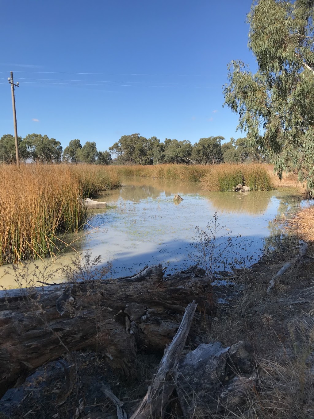 Kinnairds Wetland | park | Numurkah VIC 3636, Australia