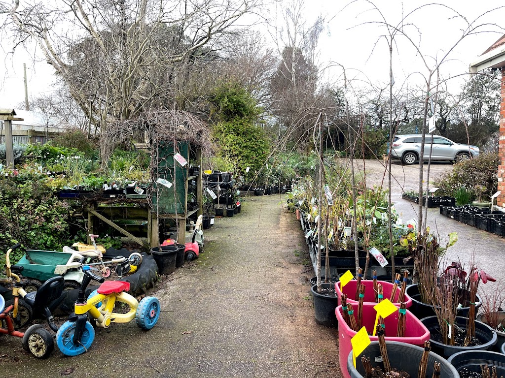 THE BIG POT NURSERY | 1032 Melrose Rd, Melrose TAS 7310, Australia | Phone: 0429 303 345