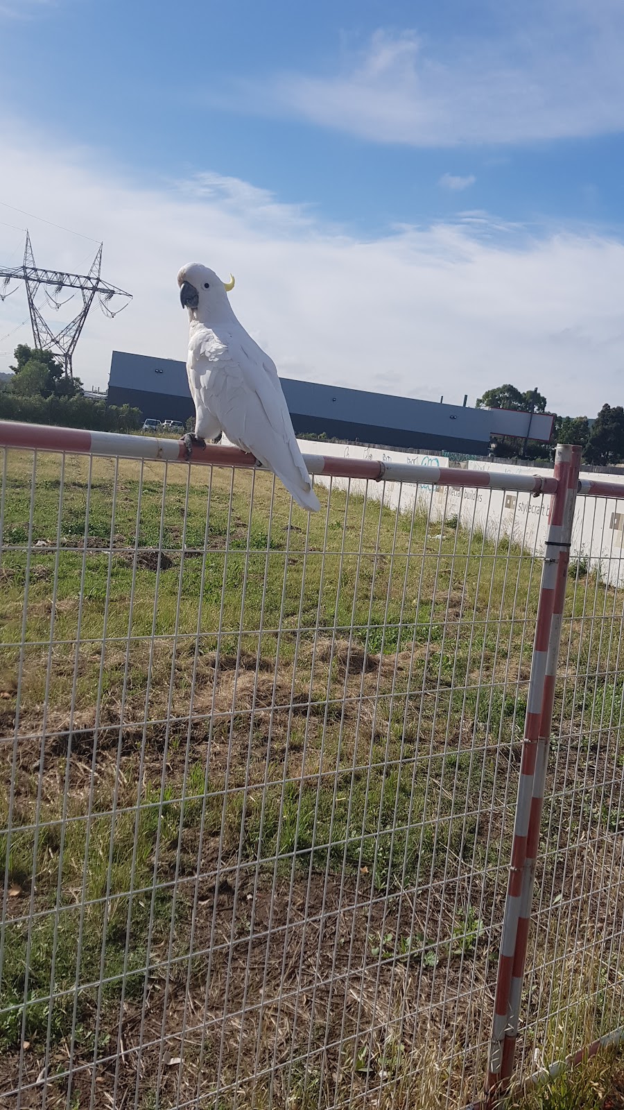 RESIDER Real Estate | Unit 1/2 Stockyard St, Mernda VIC 3754, Australia | Phone: (03) 9407 9100