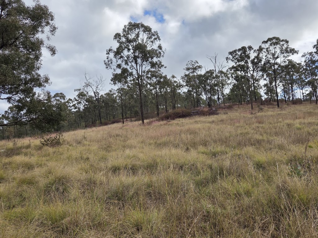 Hipoint Weed Control Services | E Cooyar Rd, Cooyar QLD 4402, Australia | Phone: 0491 929 752