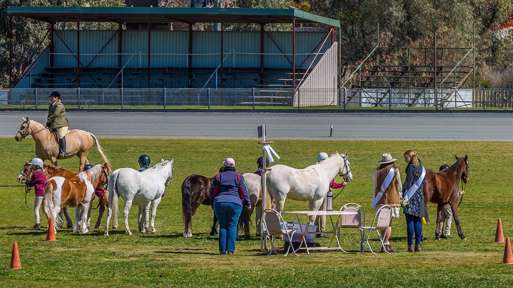 Young Harness Racing | 120 Whiteman Ave, Young NSW 2594, Australia | Phone: 0437 275 515