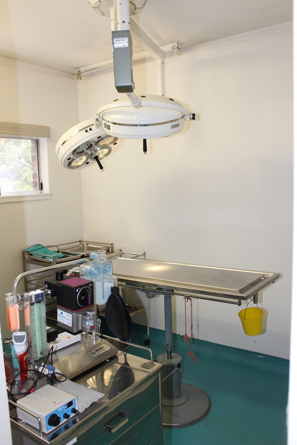 Thornleigh Veterinary Hospital | 180 Pennant Hills Rd, Thornleigh NSW 2120, Australia | Phone: (02) 9484 7418