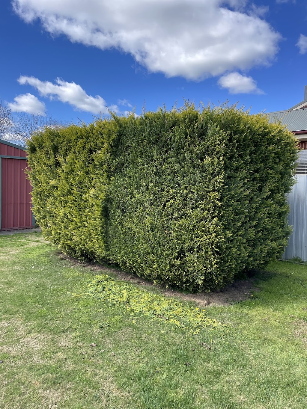 Beyond The Mow | 24 Stockman Cct, Thurgoona NSW 2640, Australia | Phone: 0410 241 950