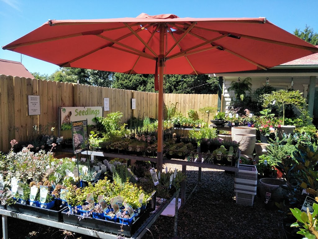 Pam’s Store Tilba Tilba | 266 Corkhill Dr, Tilba Tilba NSW 2546, Australia | Phone: 0402 171 450 Pam’s Store Tilba Tilba | 266 Corkhill Dr, Tilba Tilba NSW 2546, Australia | Phone: 0402 171 450