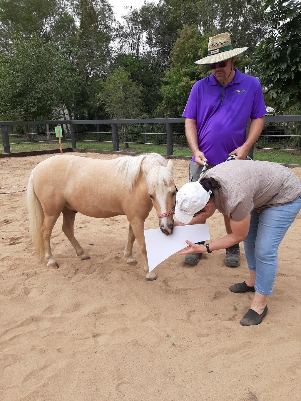 Equine Assisted Therapy | 3 Woodhaven Way, Cooroibah QLD 4565, Australia | Phone: 0427 072 186