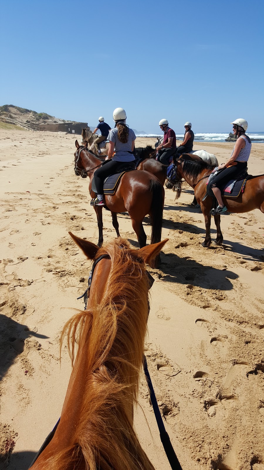 Gunnamatta Trail Rides | 150 Sandy Rd, Fingal VIC 3939, Australia | Phone: (03) 5988 6755