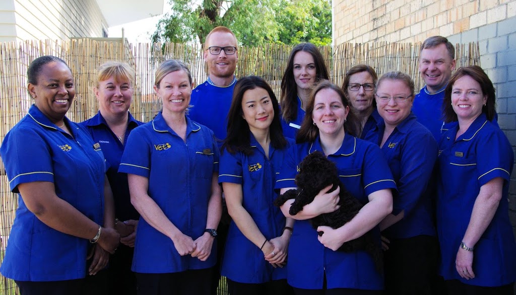 Busselton Vet Hospital | pharmacy | 60 Bussell Hwy, Busselton WA 6280, Australia | 0897521433 OR +61 8 9752 1433