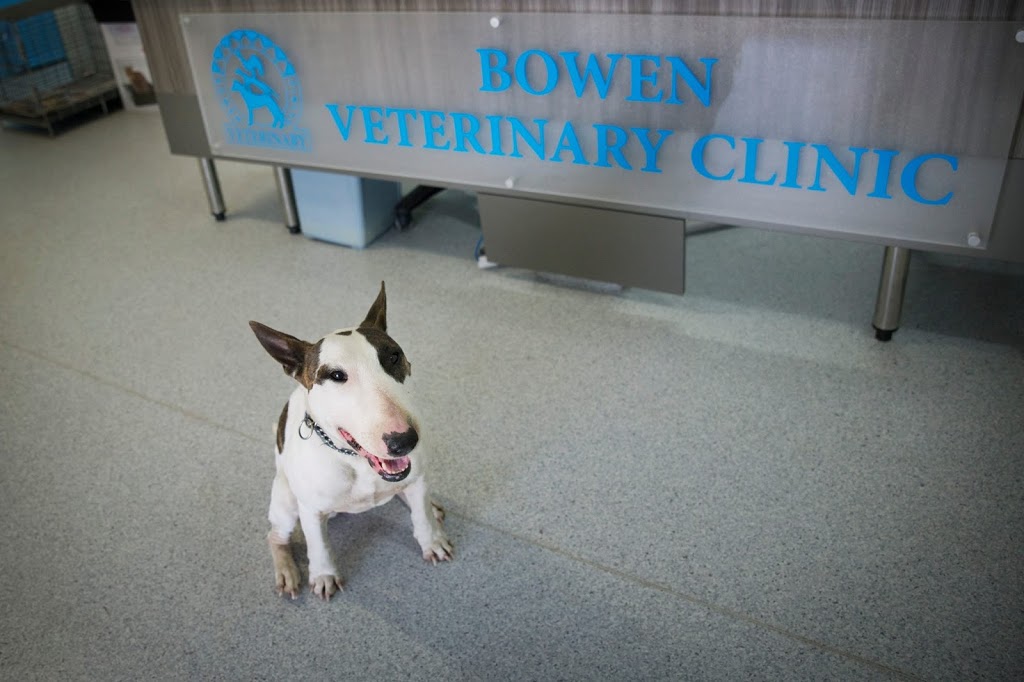 Bowen Veterinary Clinic | veterinary care | 156 Richmond Rd, Bowen QLD 4805, Australia | 0747864864 OR +61 7 4786 4864