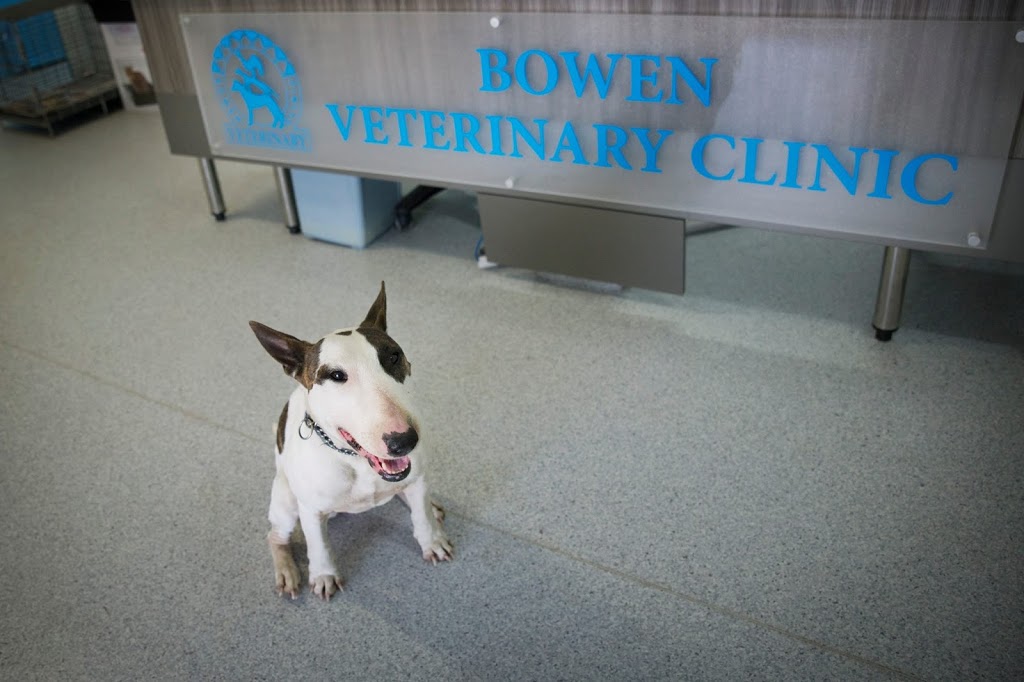 Bowen Veterinary Clinic | 156 Richmond Rd, Bowen QLD 4805, Australia | Phone: (07) 4786 4864