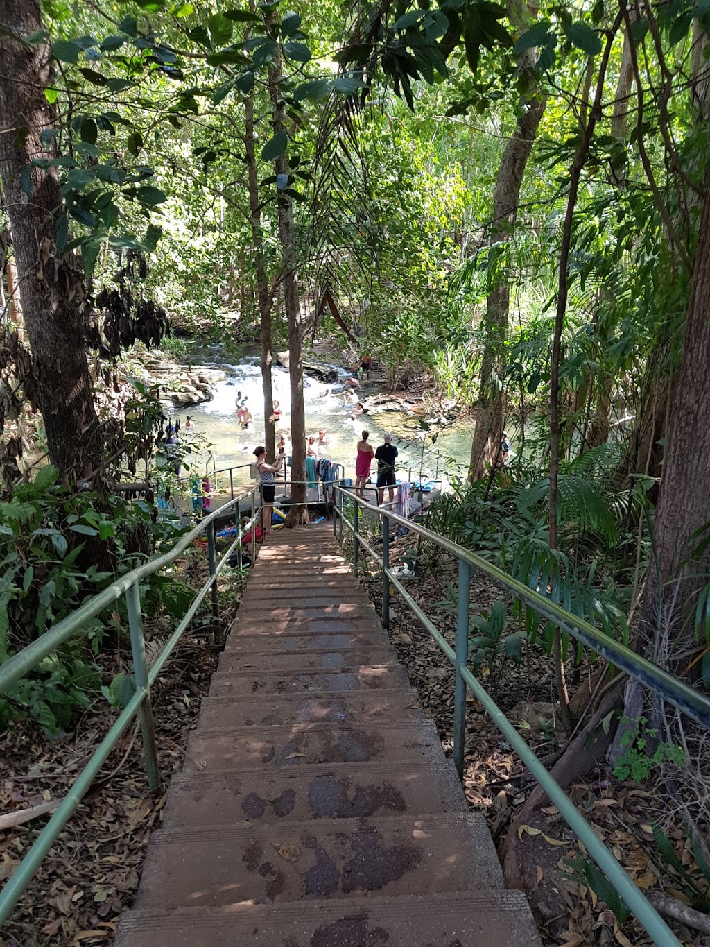 Berry Springs Waterhole | park | Berry Springs Nature Reserve, Berry Springs NT 0837, Australia | 0889886310 OR +61 8 8988 6310