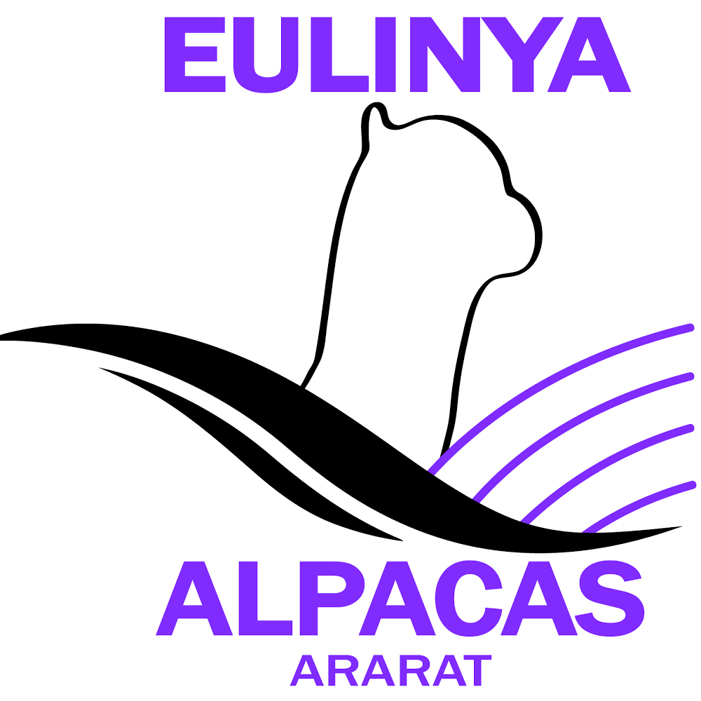 Eulinya Alpacas | 122 Green Hill Dr, Ararat VIC 3377, Australia | Phone: 0407 101 785