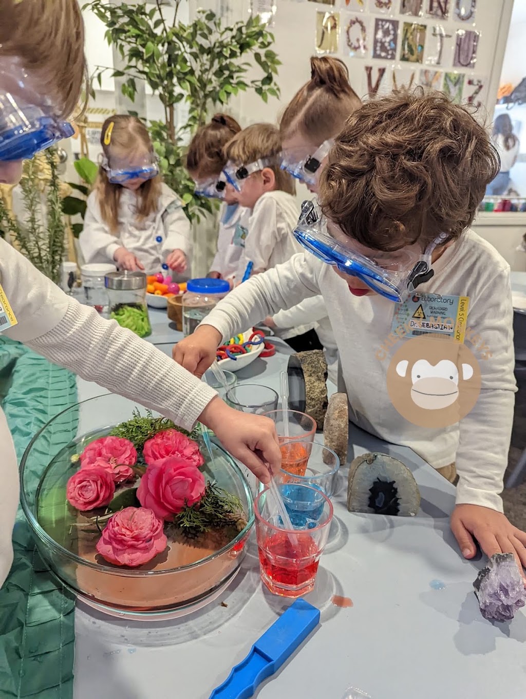 Cheeky Monkeys Day Care Centre | 607 Homer St, Kingsgrove NSW 2208, Australia | Phone: (02) 9502 1739