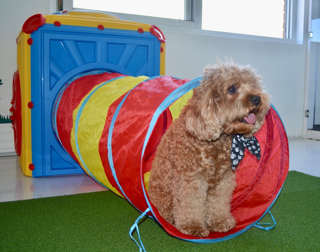 Happy Little Howlers | 23a Luland St, Botany NSW 2019, Australia | Phone: 0452 661 046