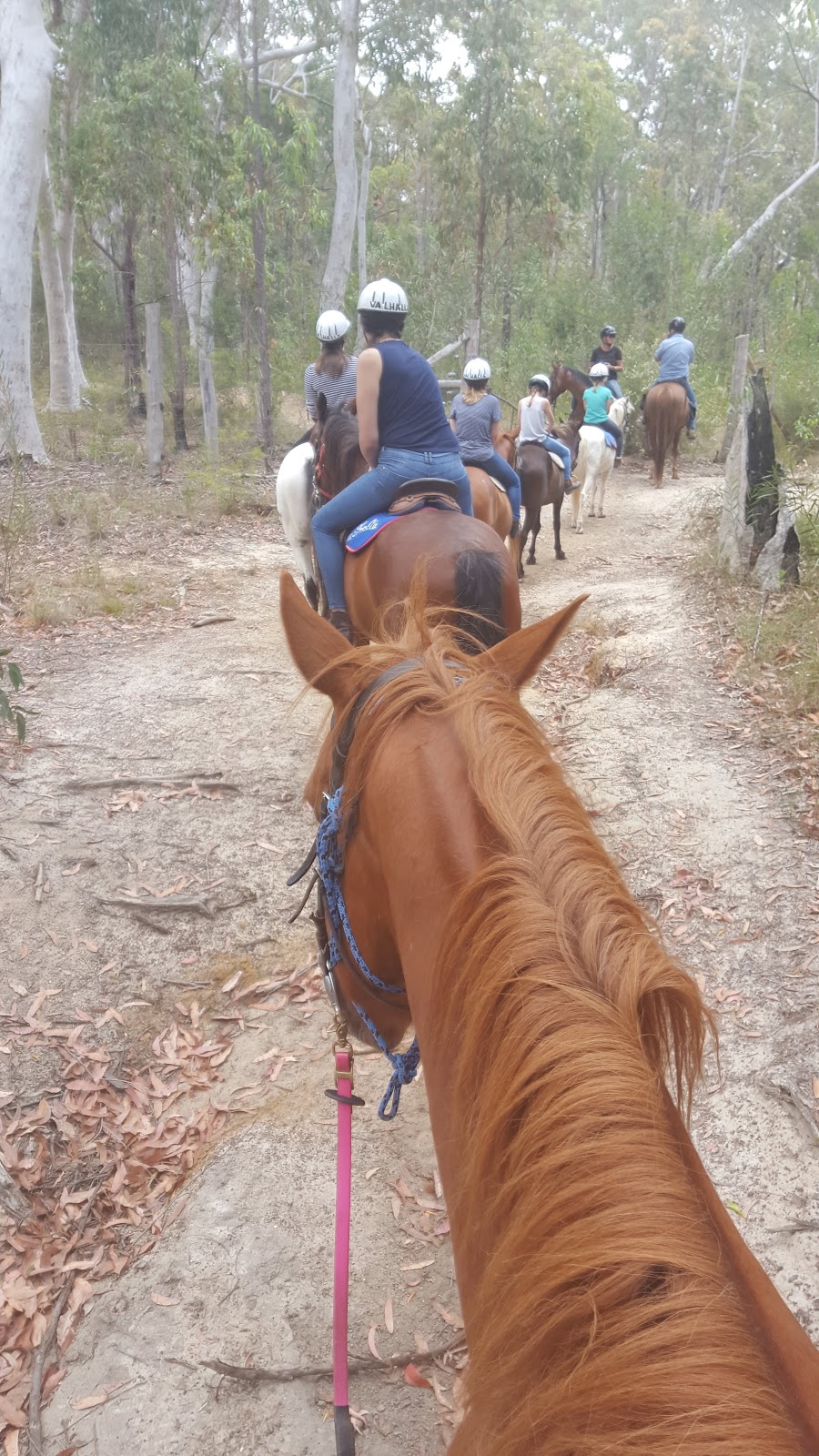 Valhalla Horse Riding and Farm Holidays | travel agency | 39 Falls Rd, Falls Creek NSW 2540, Australia | 0244478320 OR +61 2 4447 8320